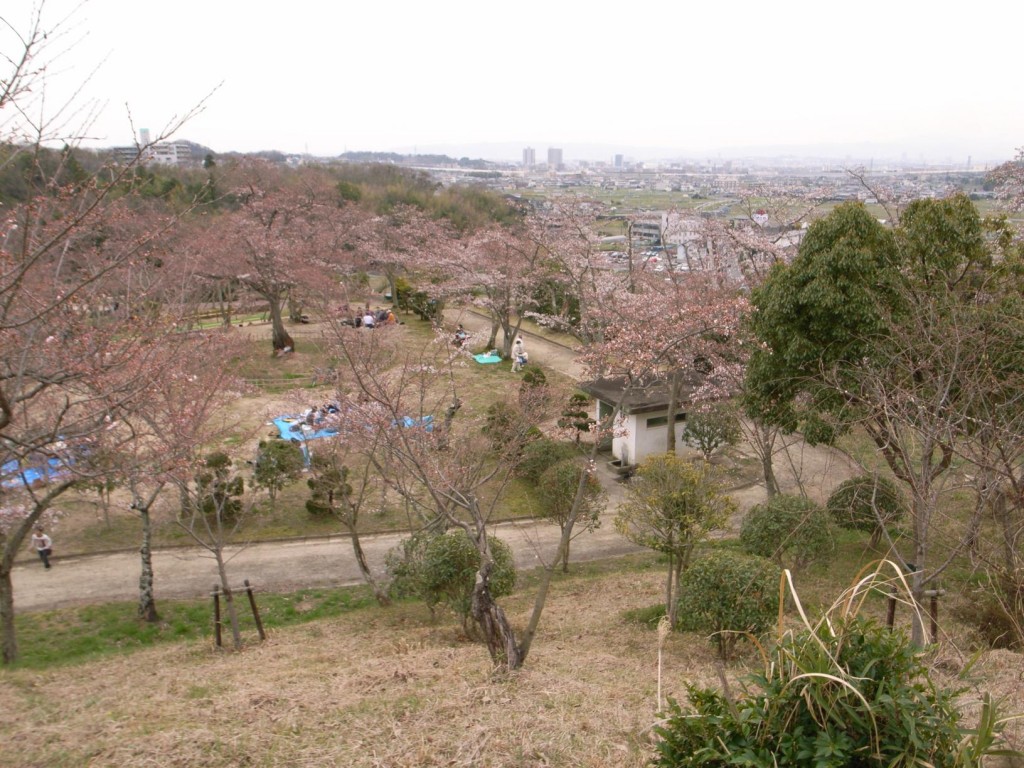 摂津峡　桜公園